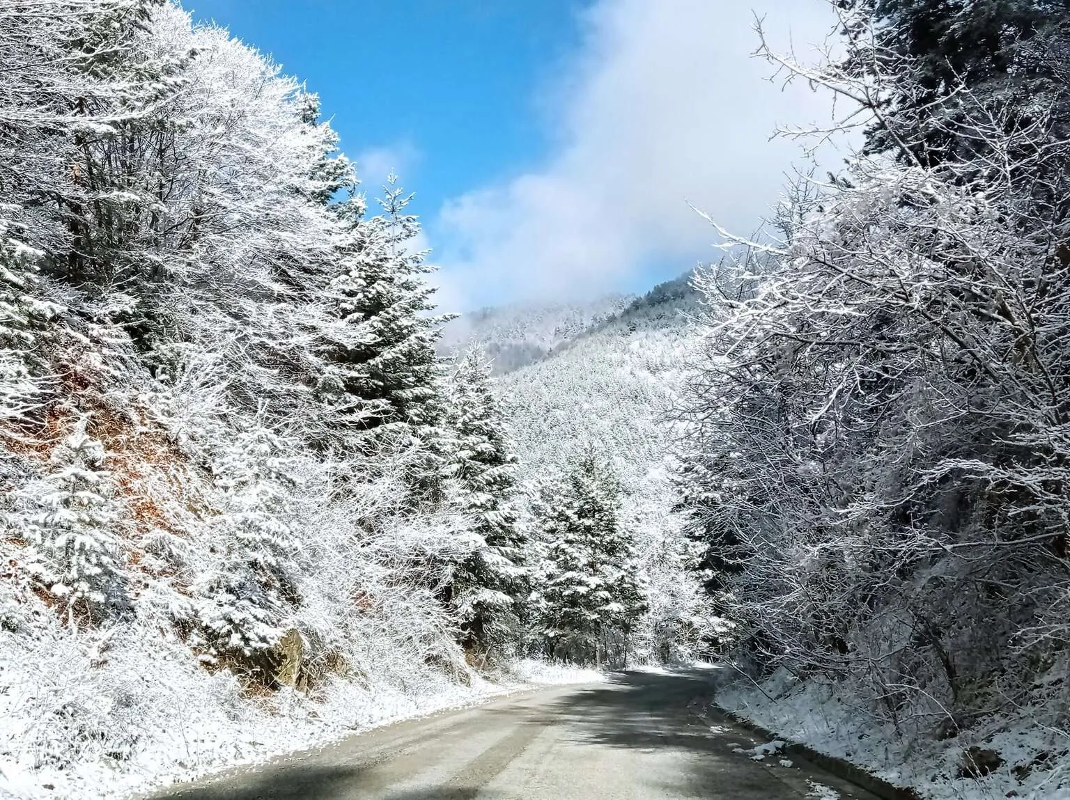 Winter road in Bulgaria, snow and trees