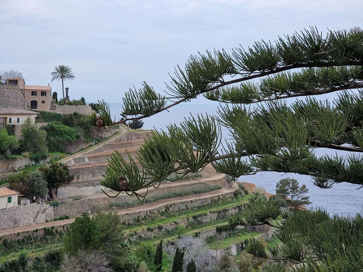 Banyalbufar, Mallorca, Spain