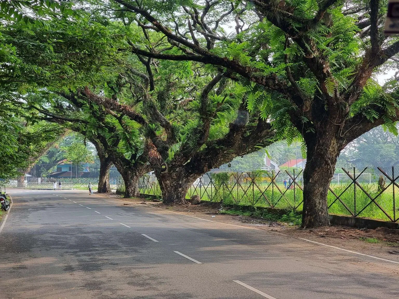 Fort Kochi, Kerala, India