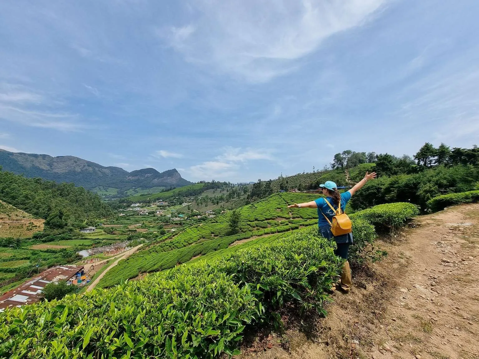 Tea plantations in Munnar, Kerala, India