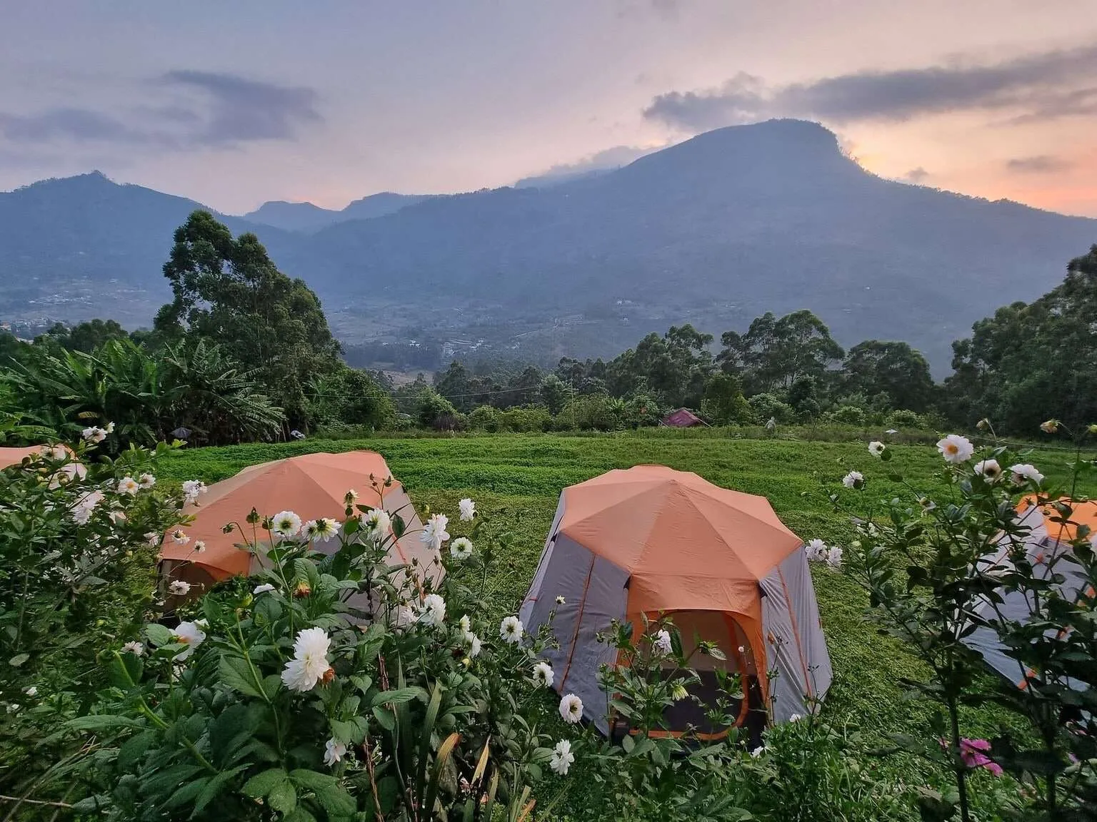 Vattavada Camp, Munnar, Kerala, India