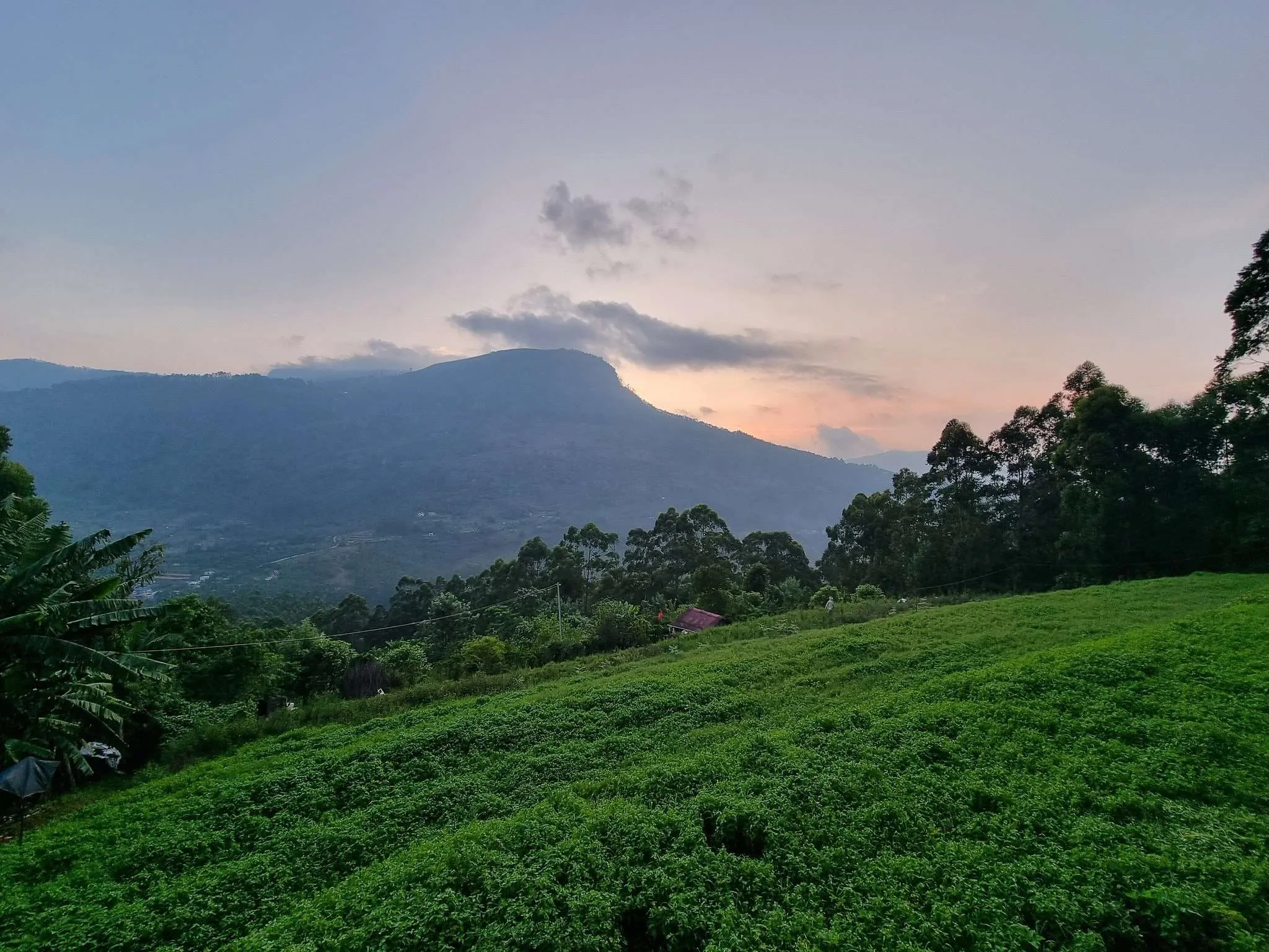 Vattavada Camp, Munnar, Kerala, India