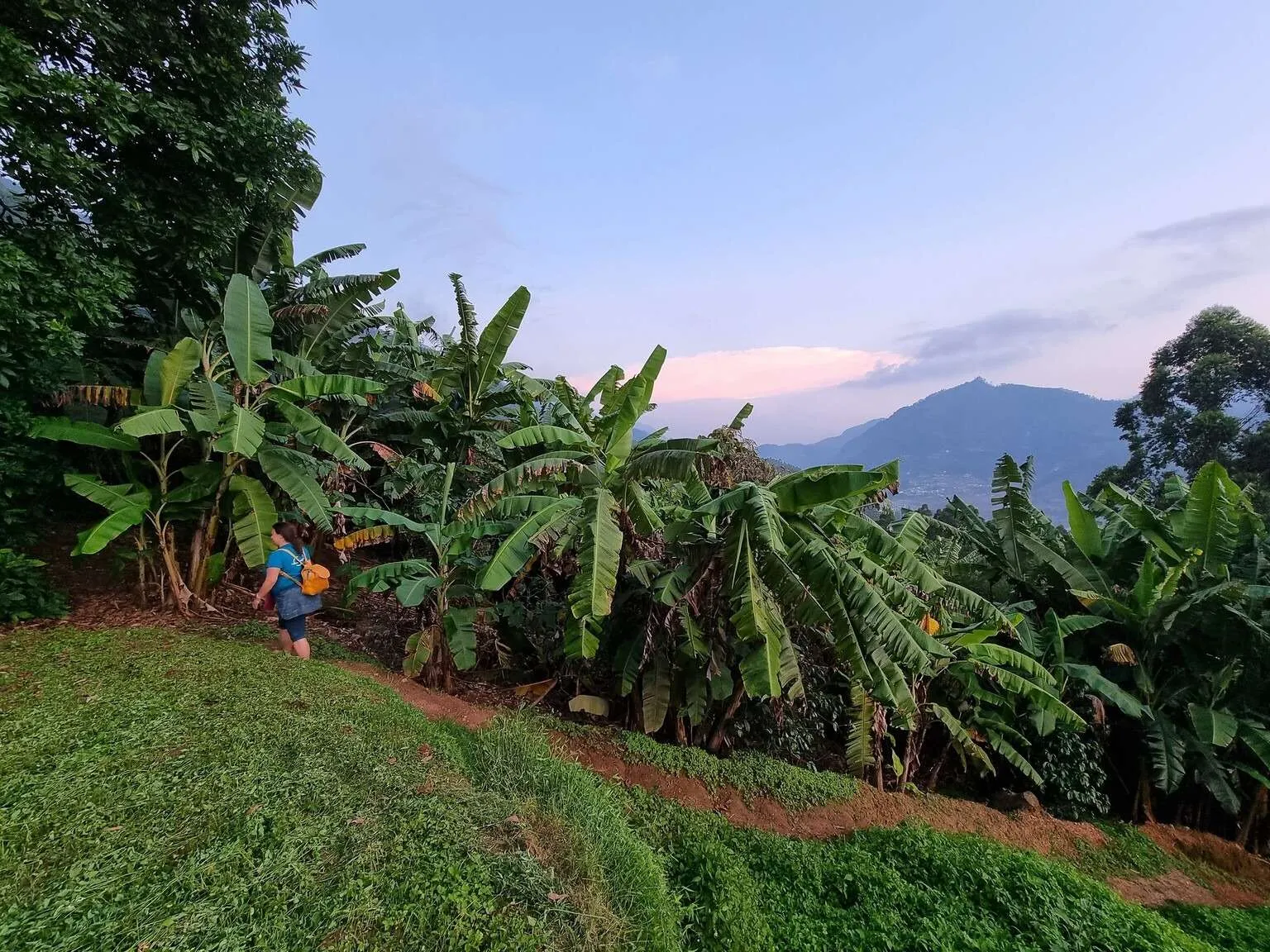 Vattavada Camp, Munnar, Kerala, India