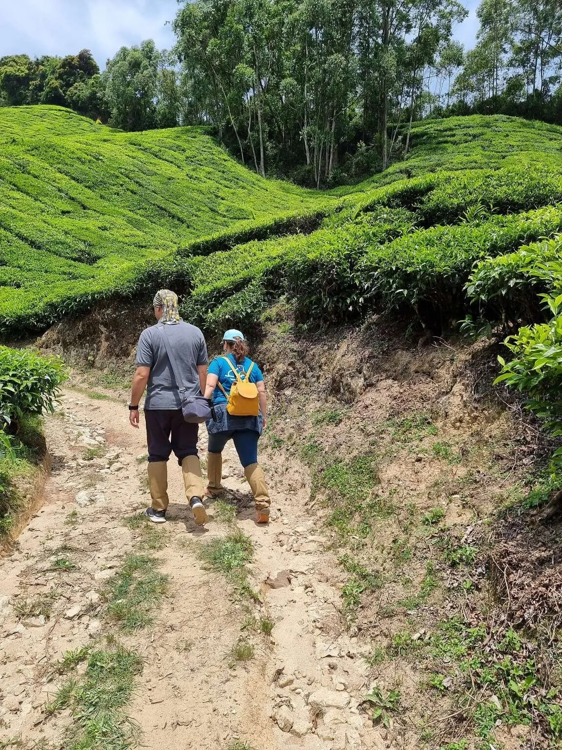 Trekking in Munnar, Kerala, India