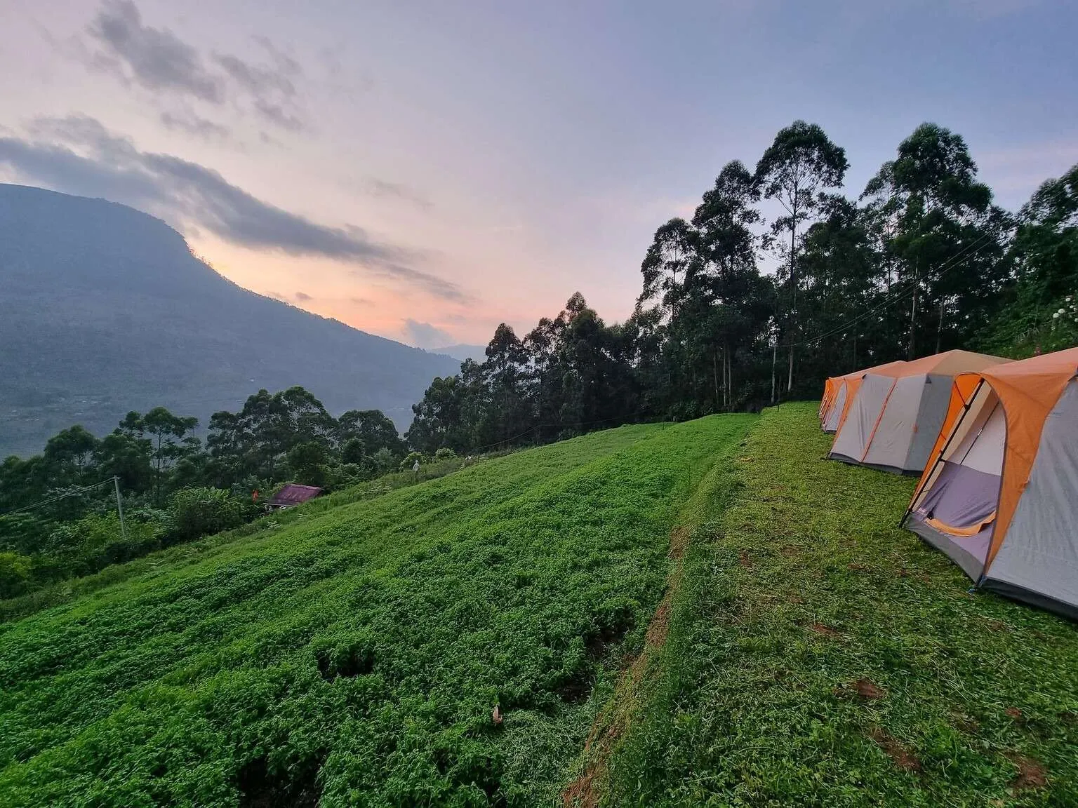 Vattavada Camp, Munnar, Kerala, India
