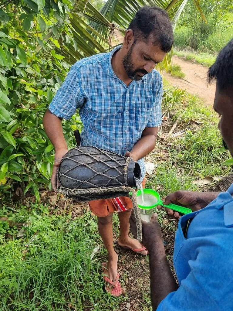 Responsible tourism in Kumarakom, Kerala, India