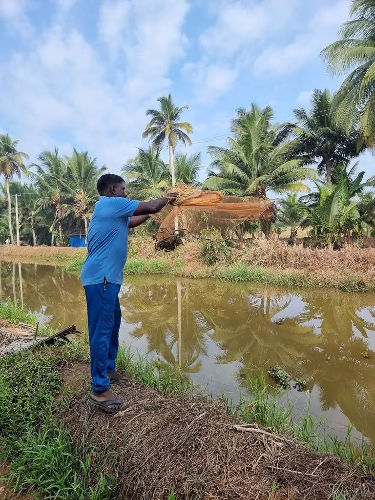 Responsible tourism in Kumarakom, Kerala, India