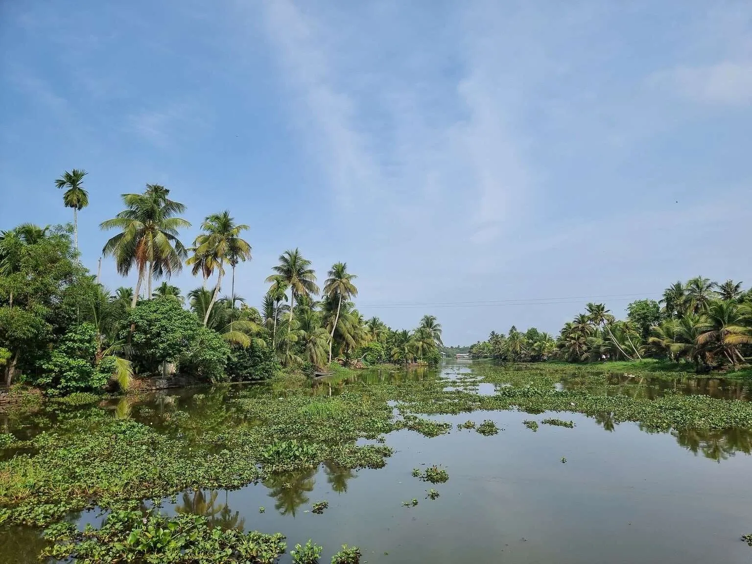 Responsible tourism in Kumarakom, Kerala, India