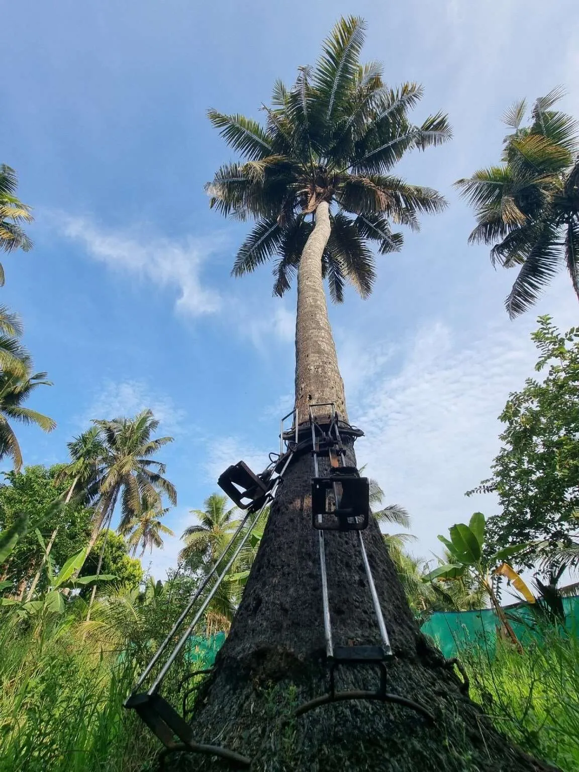 Responsible tourism in Kumarakom, Kerala, India