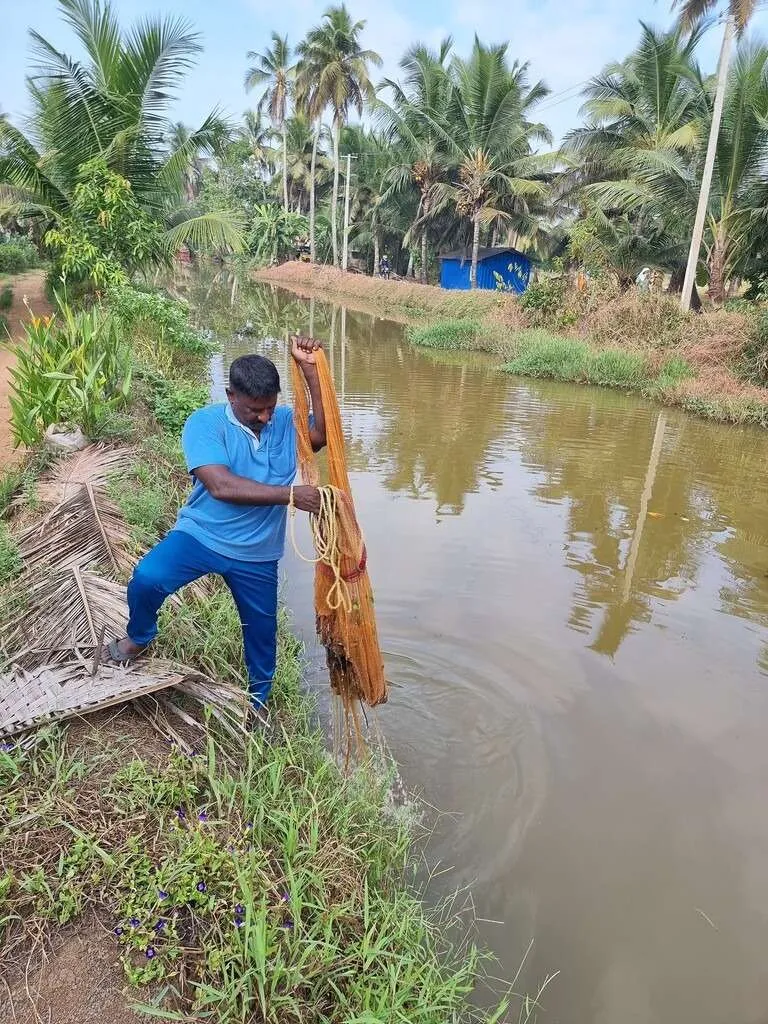 Responsible tourism in Kumarakom, Kerala, India