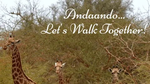 Andaando tours Senegal logo