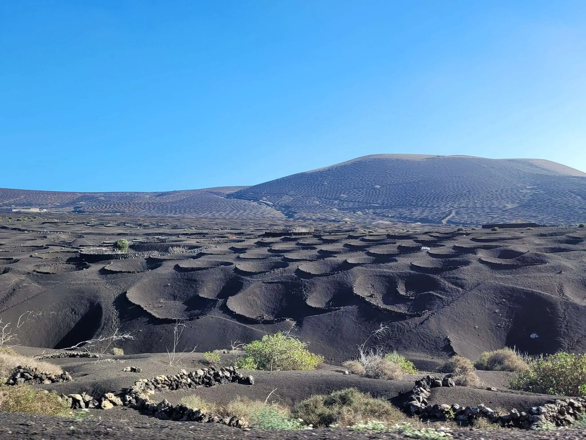 Lanzarote volcanic vineyards