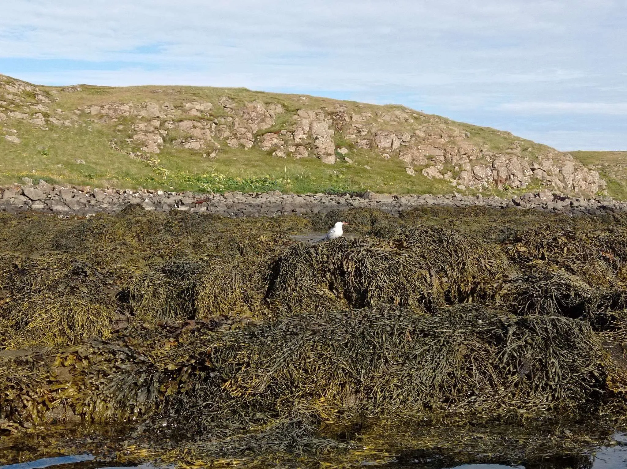 Sea kayaking on Snรฆfellsnes Peninsula, Iceland