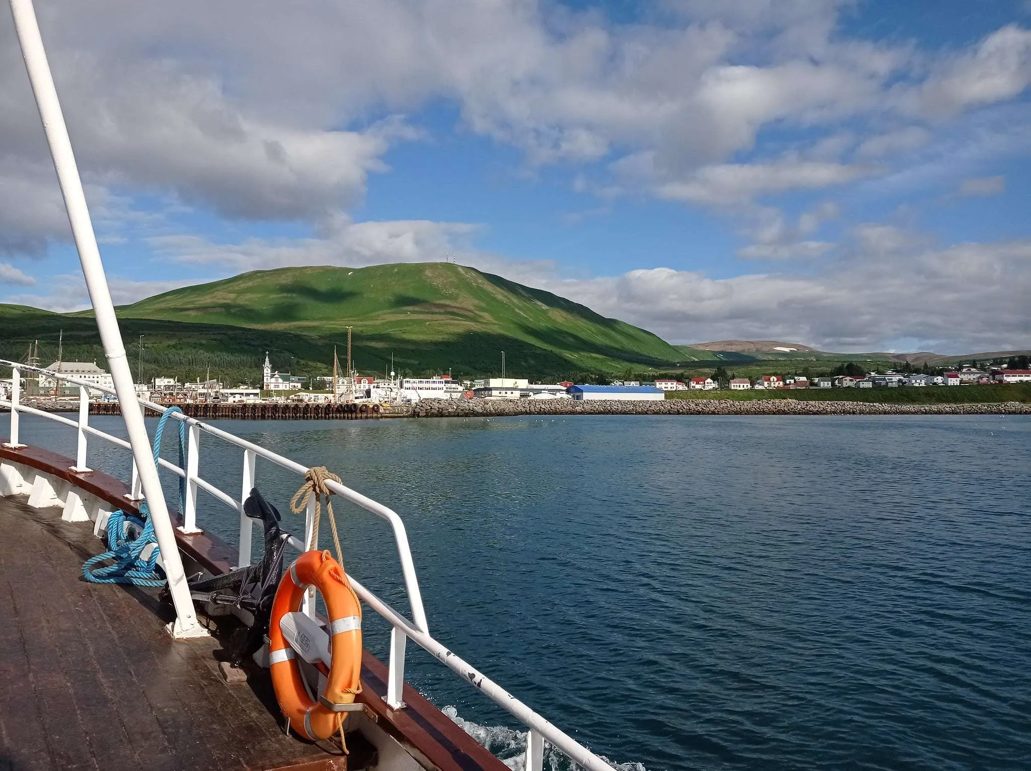 Husavik whale-watching boat tour, Iceland