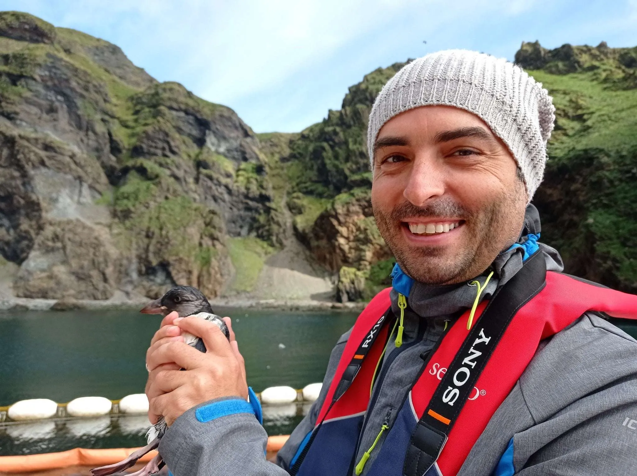 Beluga Whale Sanctuary and Puffin Rescue Center on Westman islands, Iceland