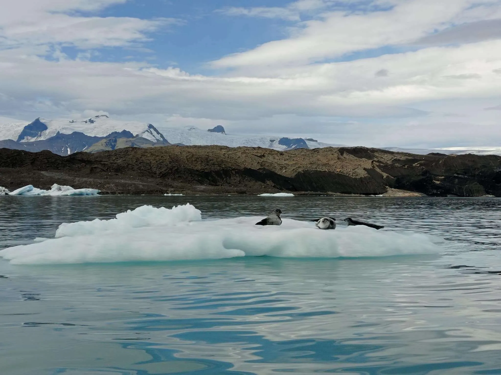 Boat trip in Jรถkulsรกrlรณn Glacial Lagoon, Iceland