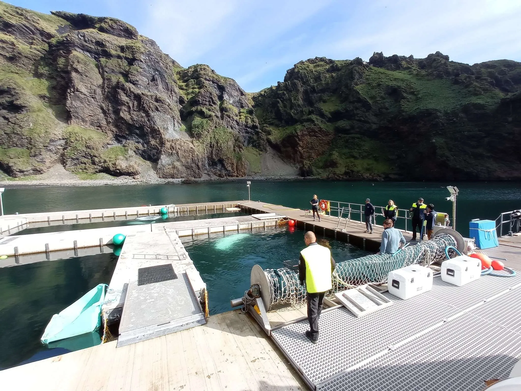 Beluga Whale Sanctuary and Puffin Rescue Center on Westman islands, Iceland