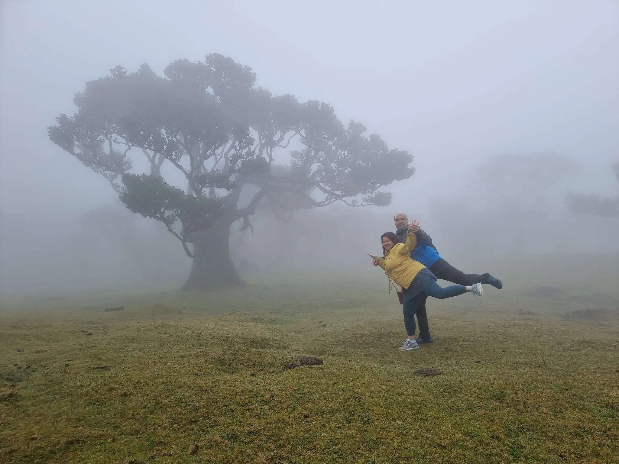 Beutiful places to visit in Madeira, Posto Florestal Fanal