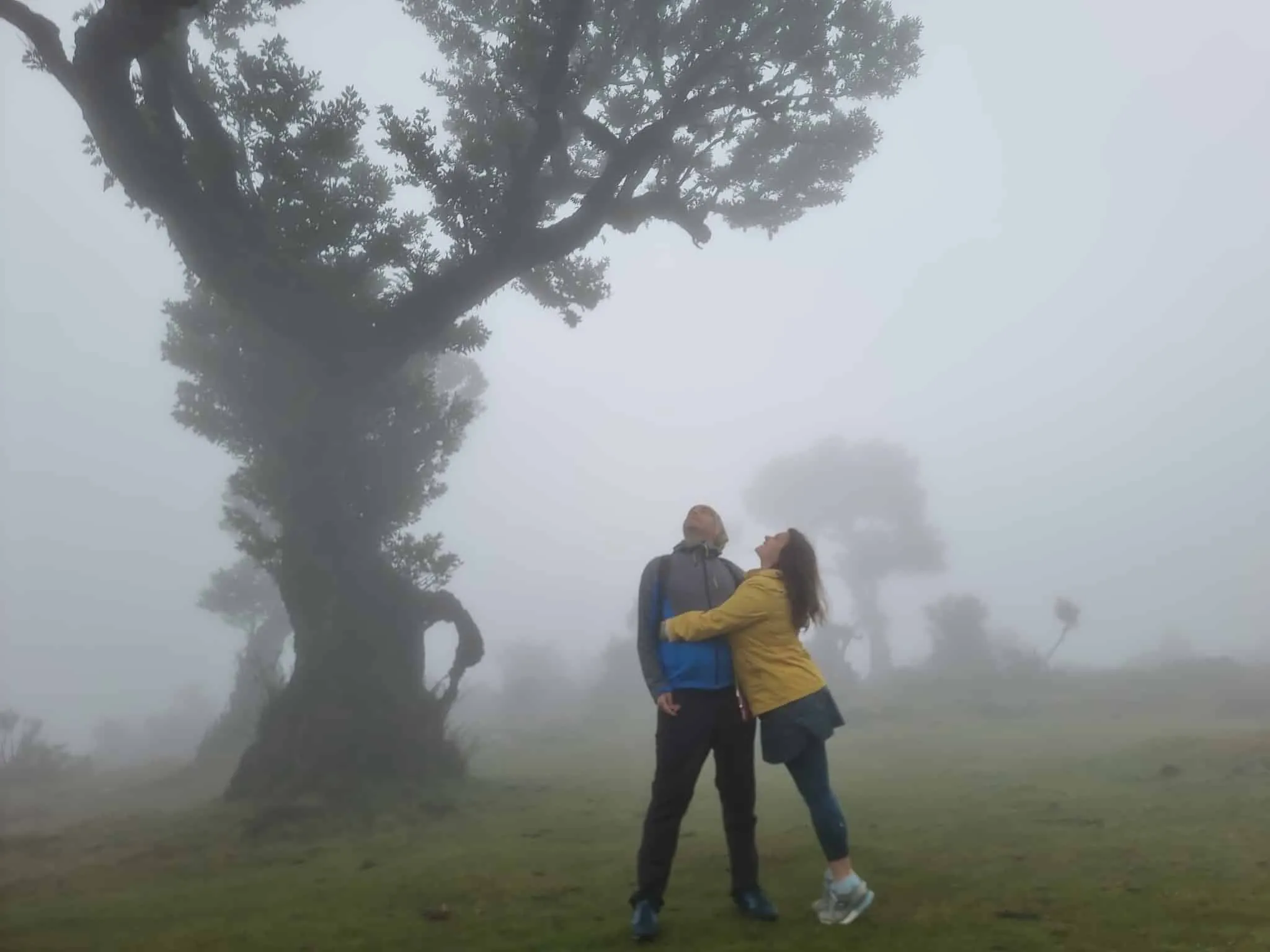 Beutiful places to visit in Madeira, Posto Florestal Fanal