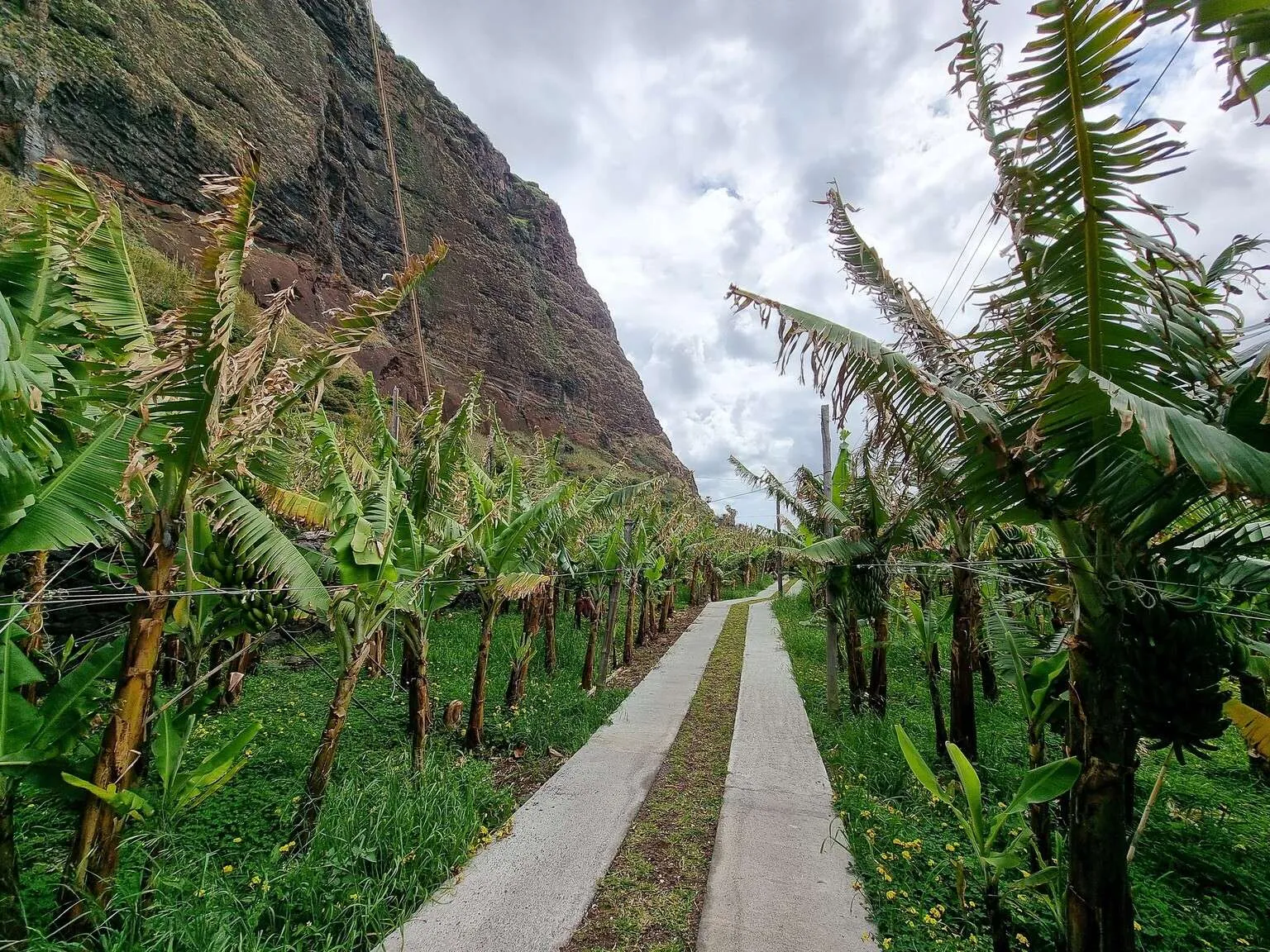 Beutiful places to visit in Madeira, Teleférico Fajã dos Padres