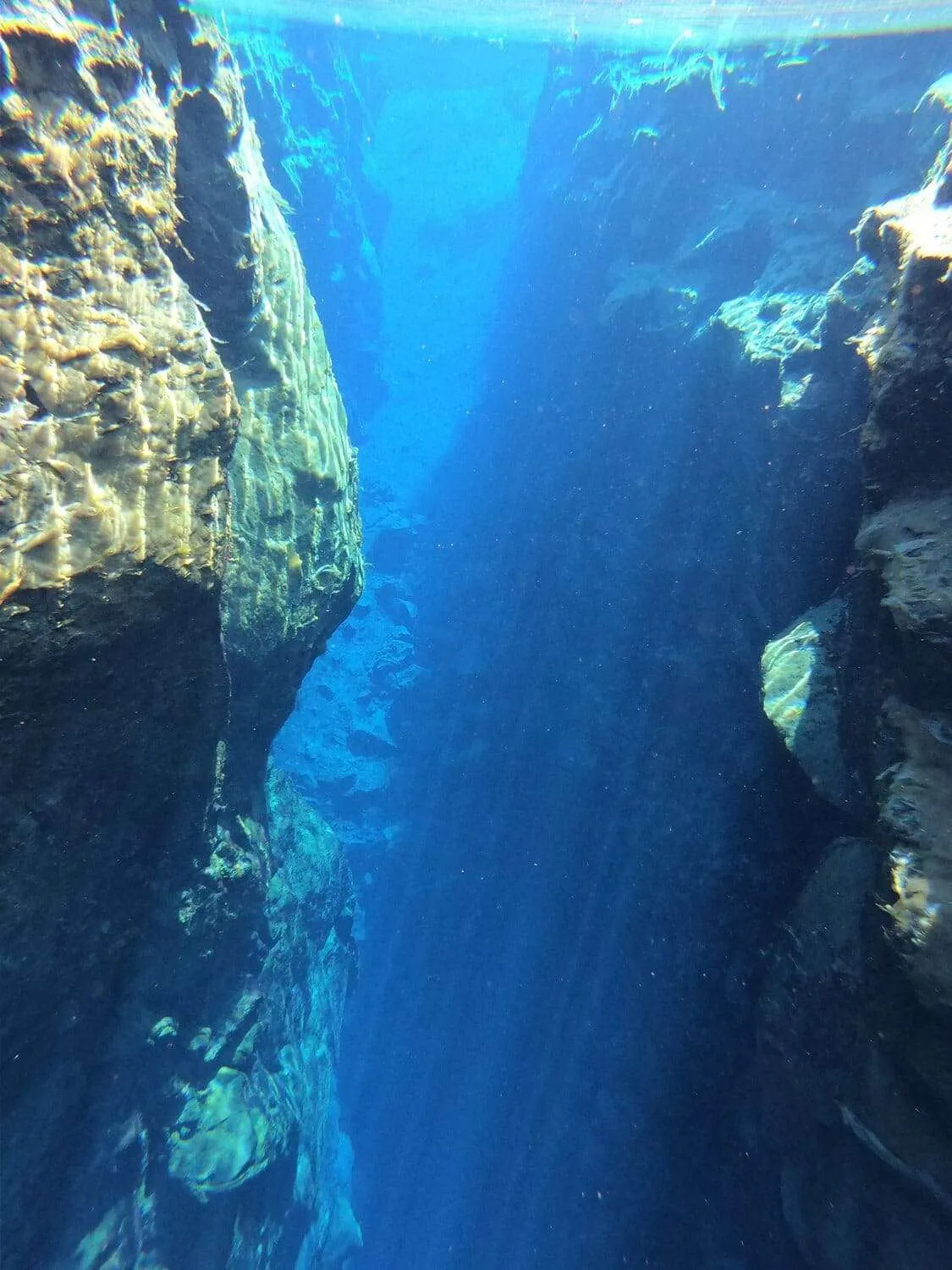 Silfra snorkeling, Iceland