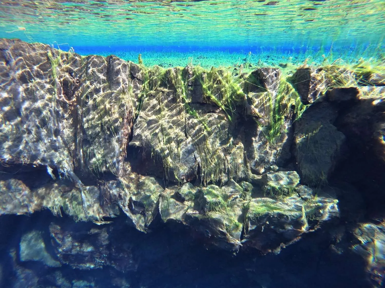 Silfra snorkeling, Iceland