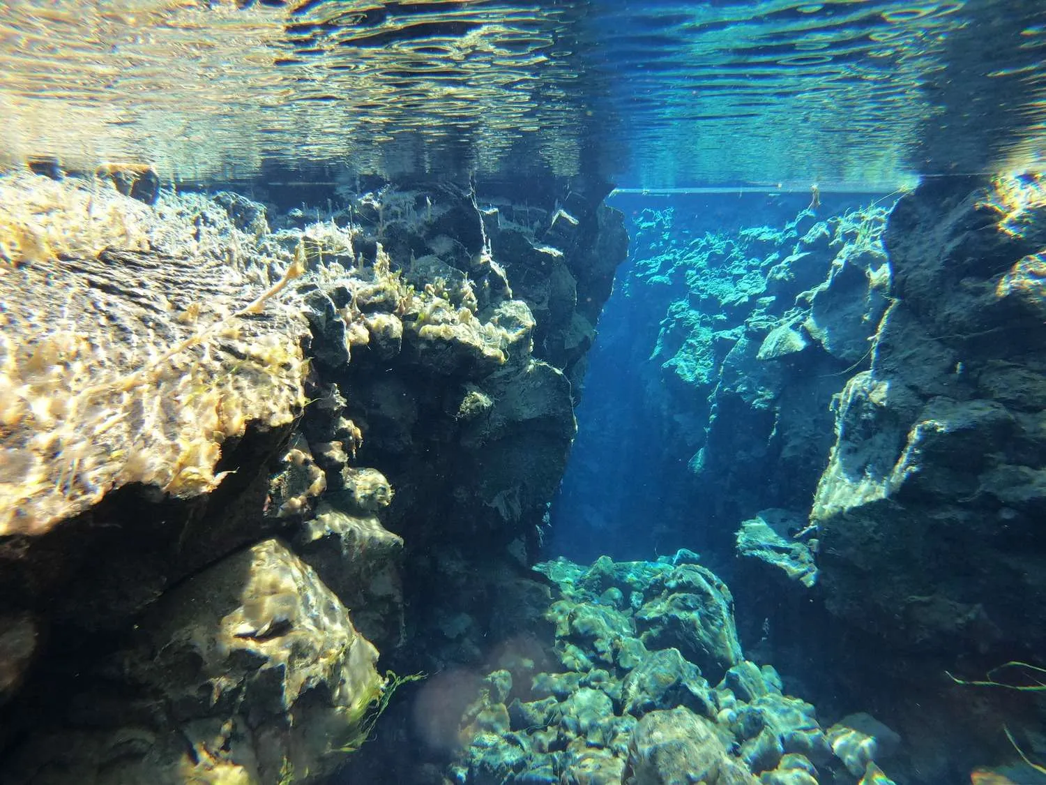 Silfra snorkeling, Iceland