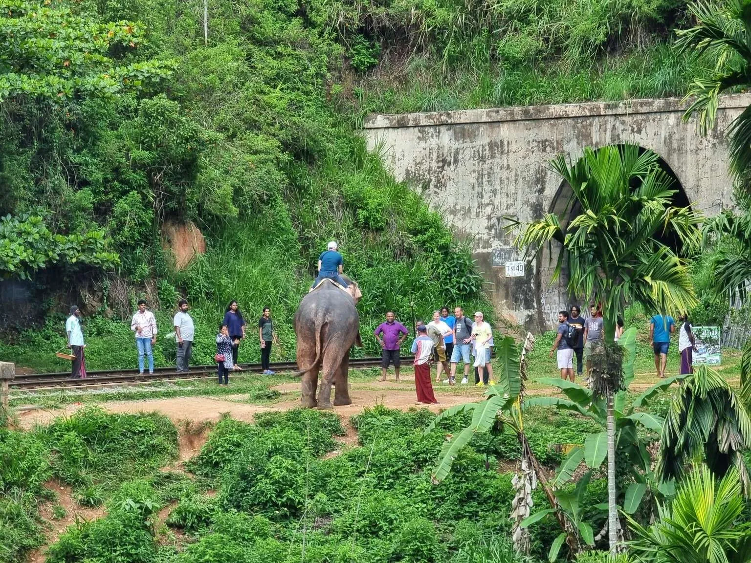 Nine Arch Bridge, Ella, Sri Lanka