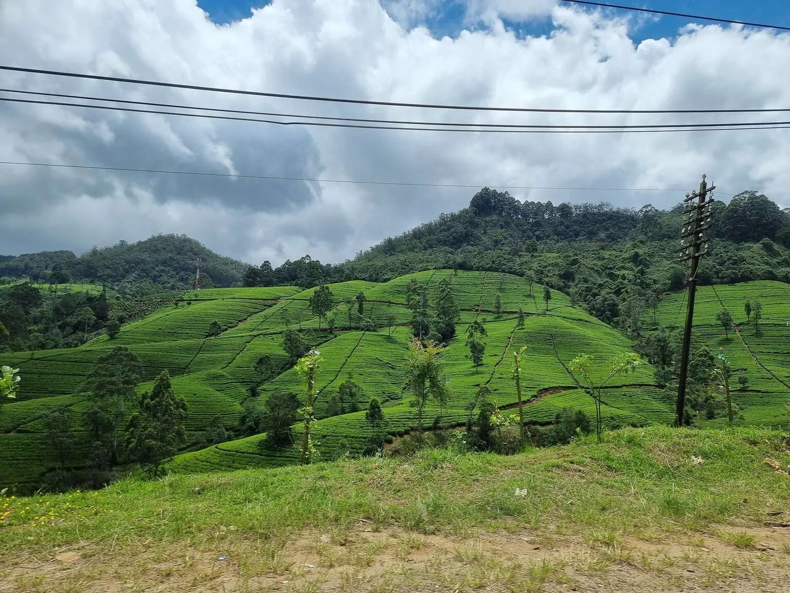 Sri Lanka tea terraces and plantations