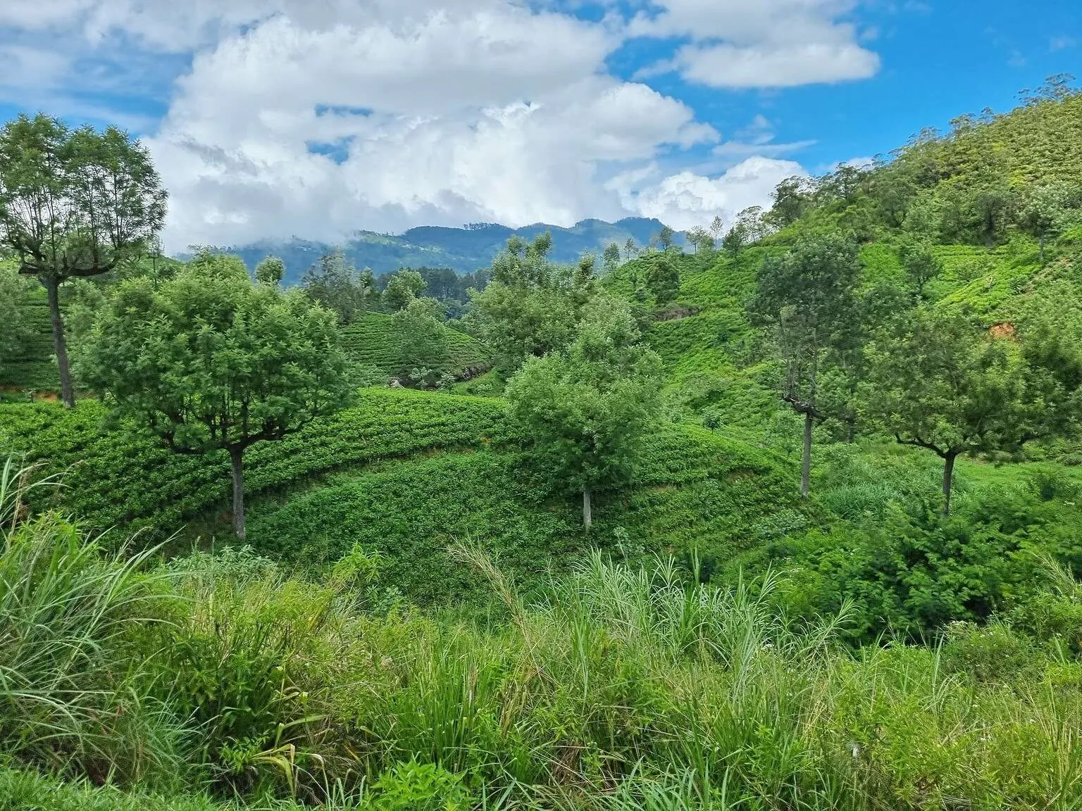 Train ride from Ella to Nuwara Eliya, Sri Lanka itinerary