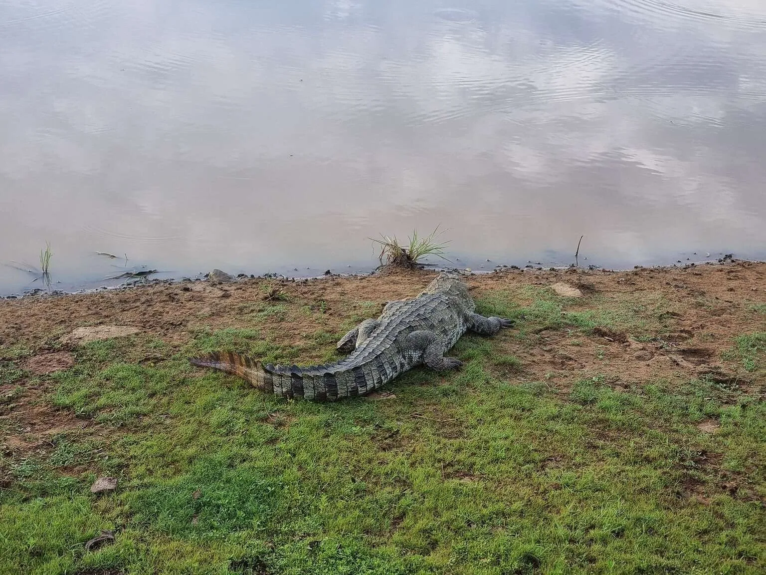 Safari in Yala National Park, Sri Lanka