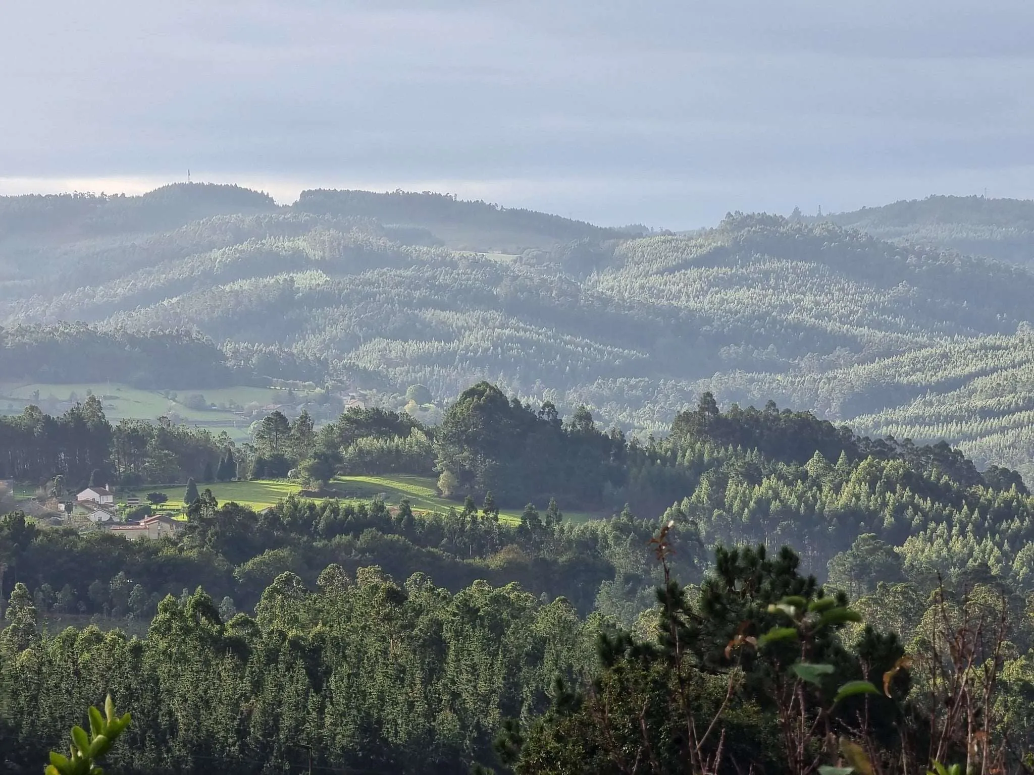 Camino de Santiago Ingles, the English Way, views of Galicia