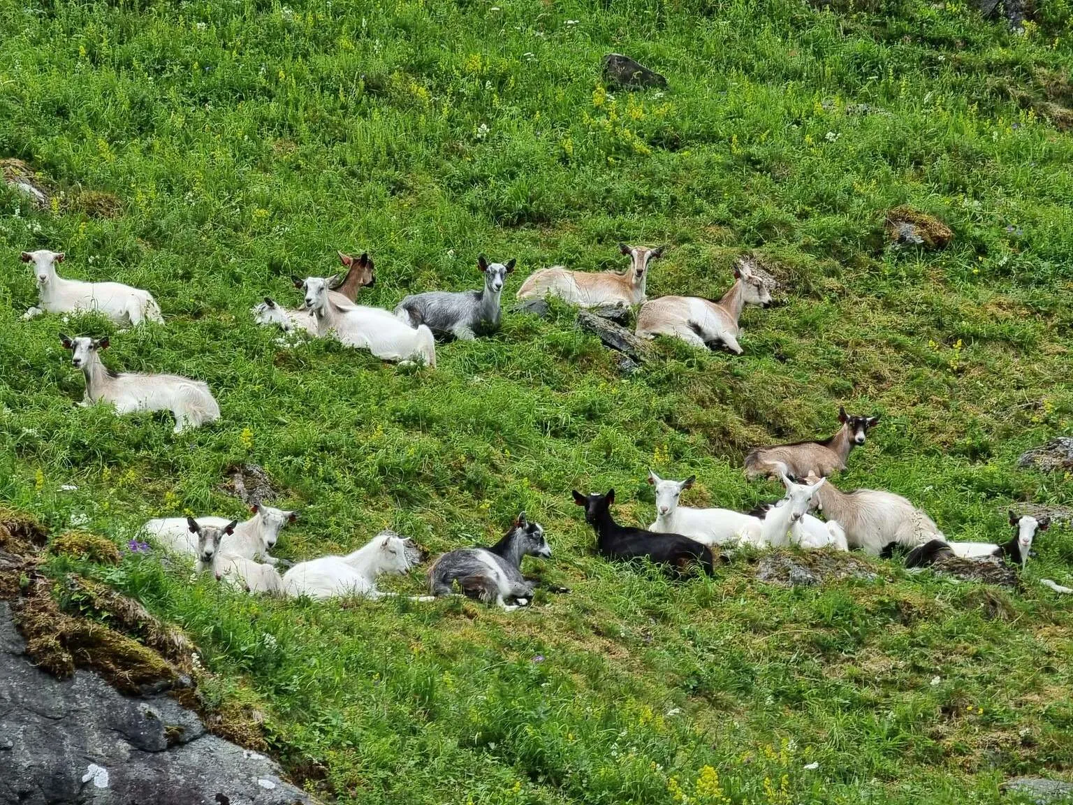 Sognefjord, Norway