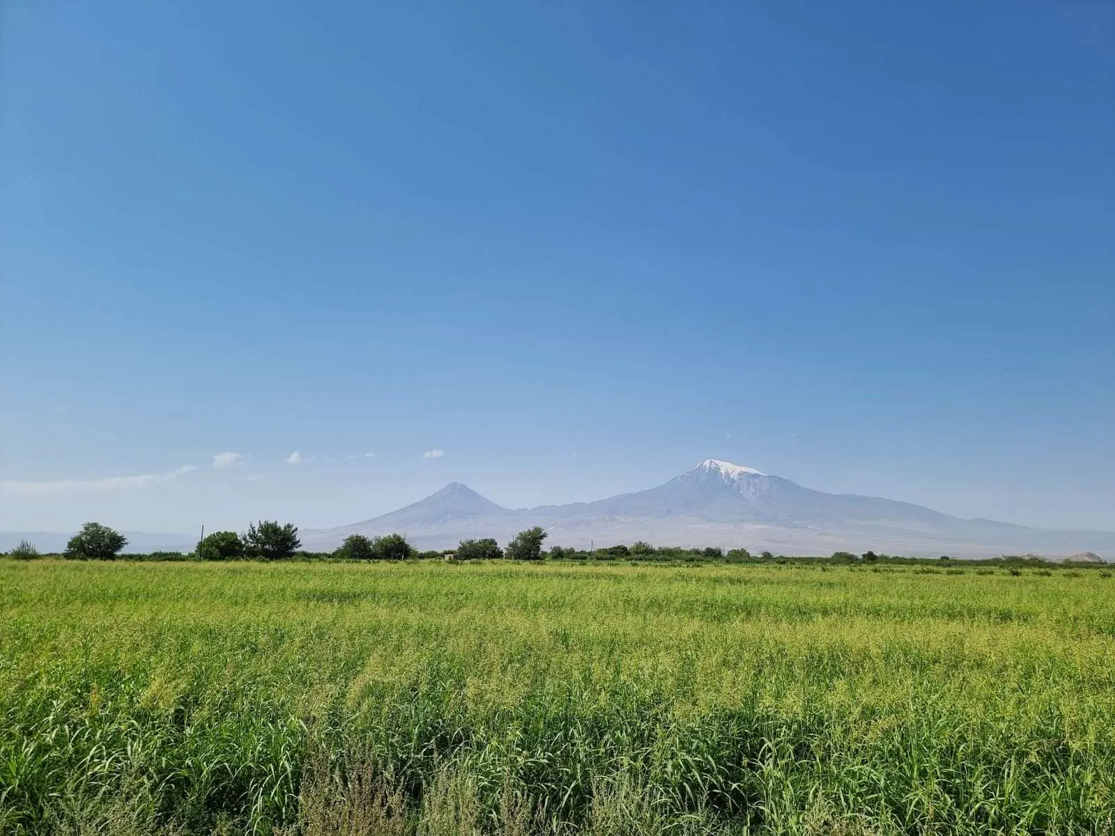 View of the Mount Ararat in Armenia