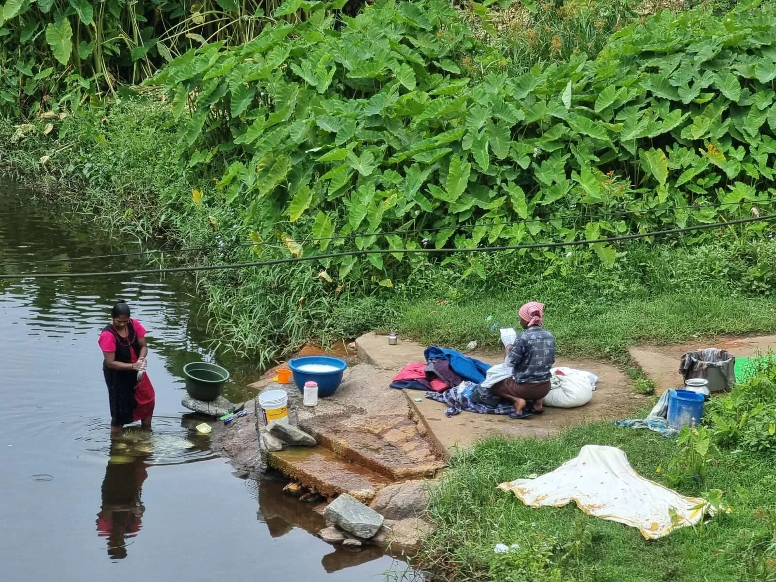 Doing laundry in Kumarakom, Kerala backwaters, India