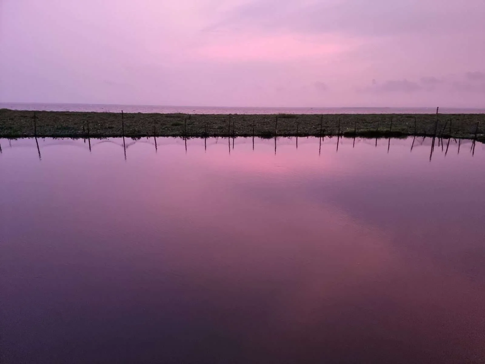 Sunset in Kumarakom, Kerala backwaters, India