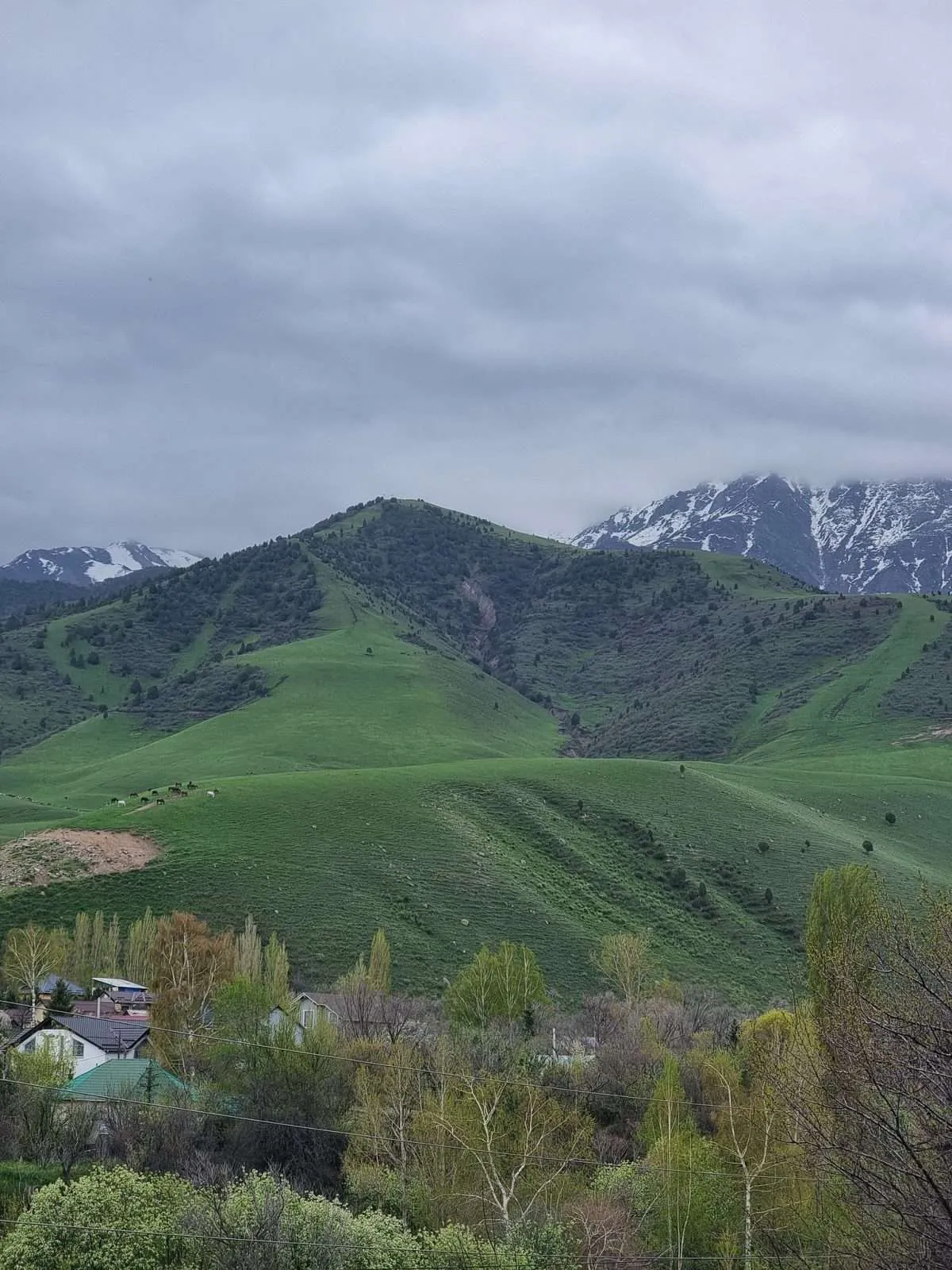 Ala Archa National Park Kyrgyzstan - Gallery Photo