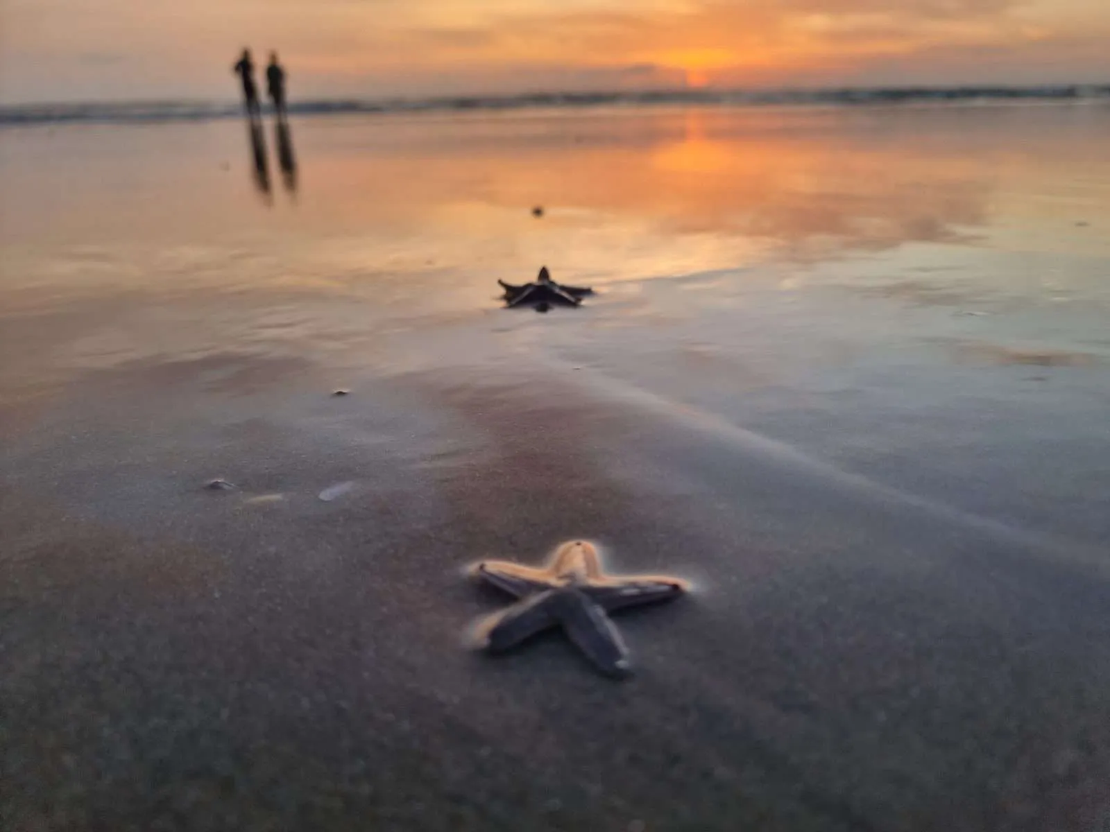 Payyambalam Beach, Kannur, Kerala, India