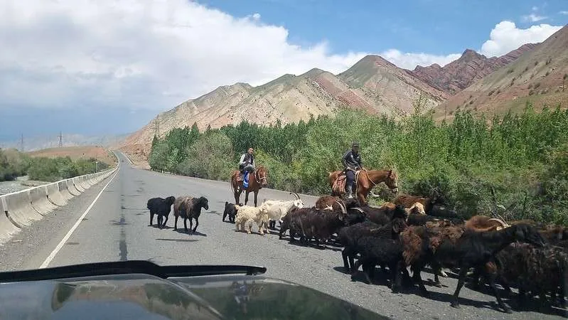 day 7 Pamir Highway Kyrgyzstan from Lake Tulpar-Kol to Osh goats and more on the road