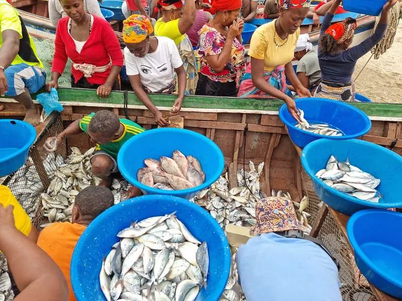 Cabo Verde Santiago Tour Tarrafal beach fish market