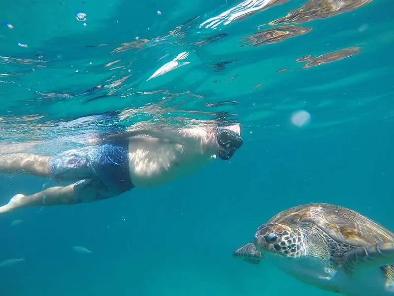 Cabo Verde Sao Vicente Sao Pedro Nace and the sea turtles