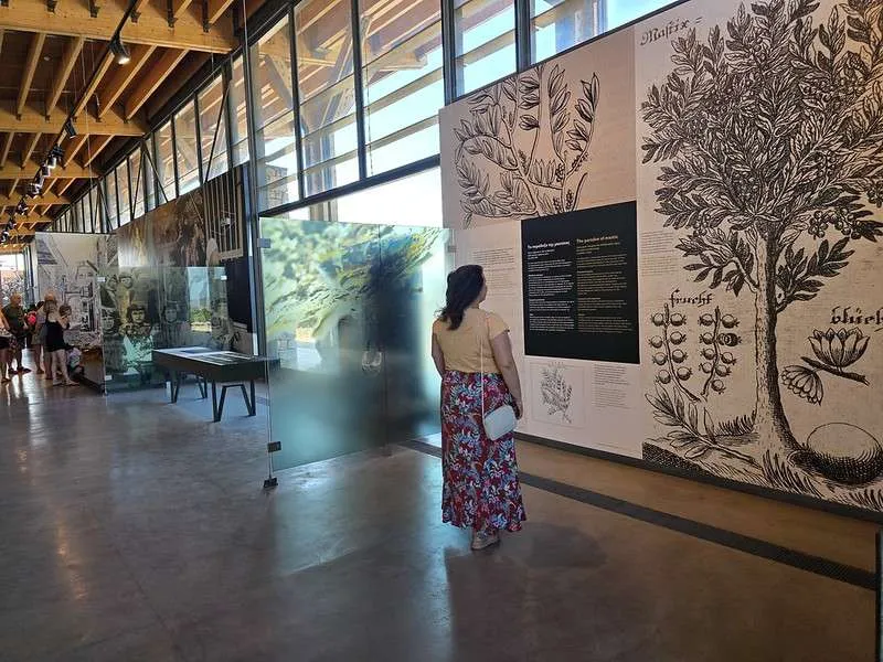 Chios Island Mastic Museum