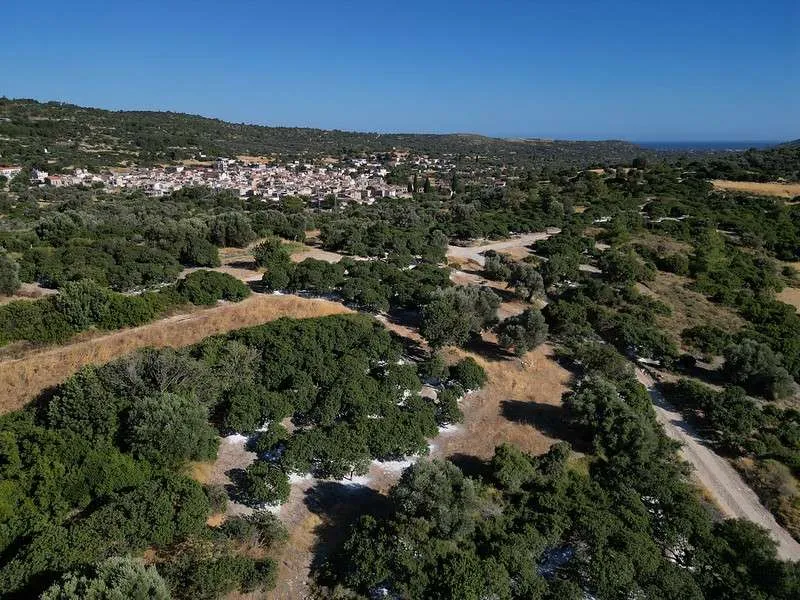 Chios Island mastic villages