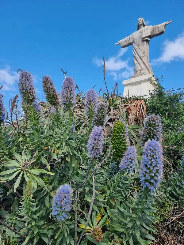 Madeira Cristo Rey statue with flowers