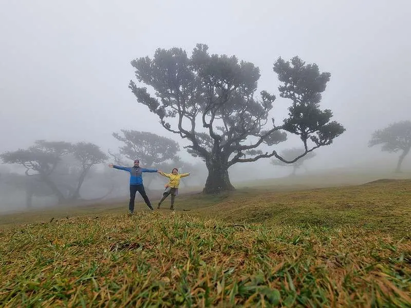 Madeira Fanal Forest with Bistra and Nace