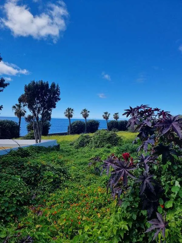 Madeira Jardim do Mar