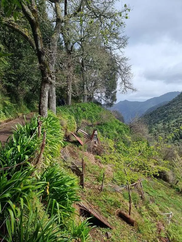 Madeira PR11 Levada dos Balcões