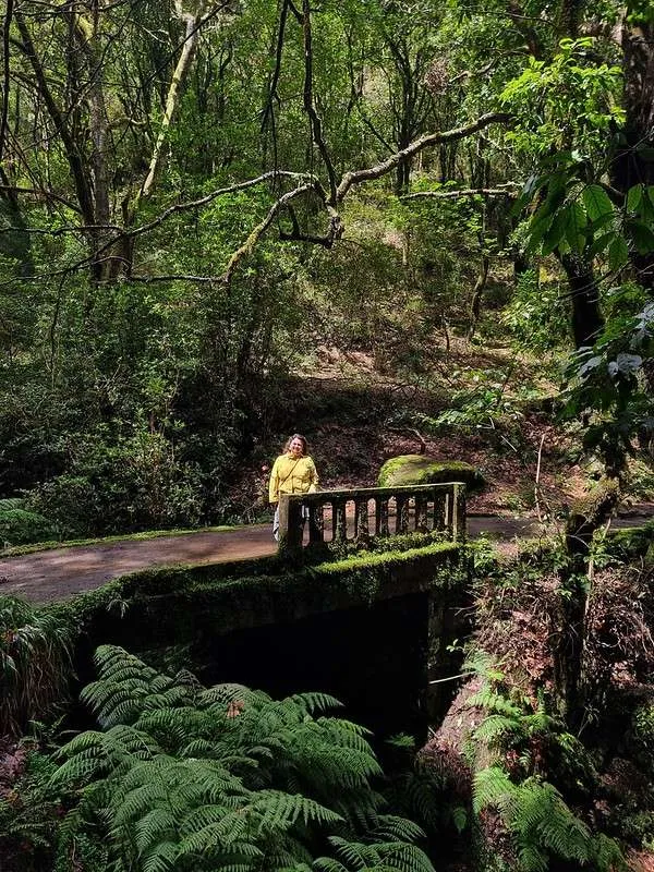 Madeira PR11 Levada dos Balcões