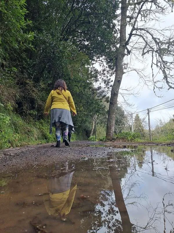 Madeira PR11 Levada dos Balcões