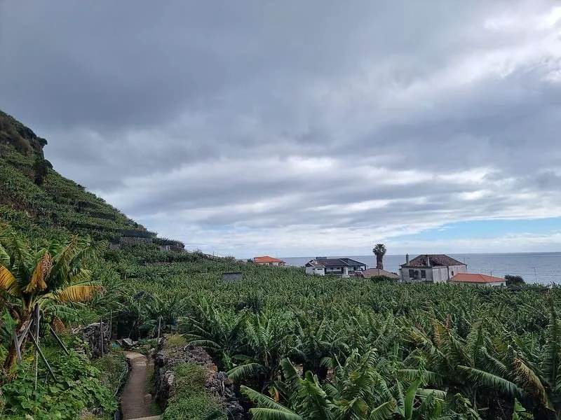 Madeira Rota da Banana